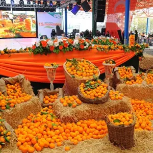 PORTAKAL ÇİÇEĞİ FESTİVALİ